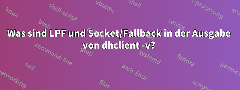 Was sind LPF und Socket/Fallback in der Ausgabe von dhclient -v?