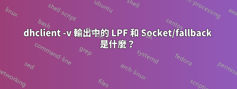 dhclient -v 輸出中的 LPF 和 Socket/fallback 是什麼？