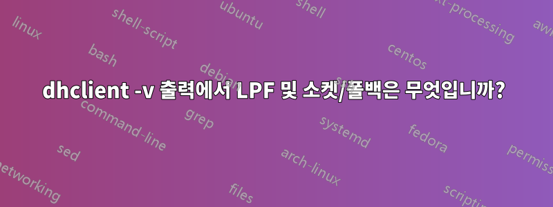 dhclient -v 출력에서 ​​LPF 및 소켓/폴백은 무엇입니까?