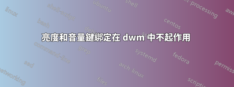 亮度和音量鍵綁定在 dwm 中不起作用