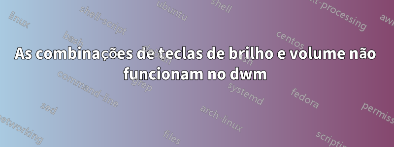 As combinações de teclas de brilho e volume não funcionam no dwm