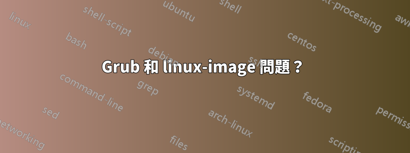 Grub 和 linux-image 問題？