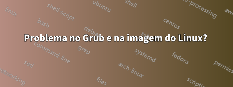 Problema no Grub e na imagem do Linux?