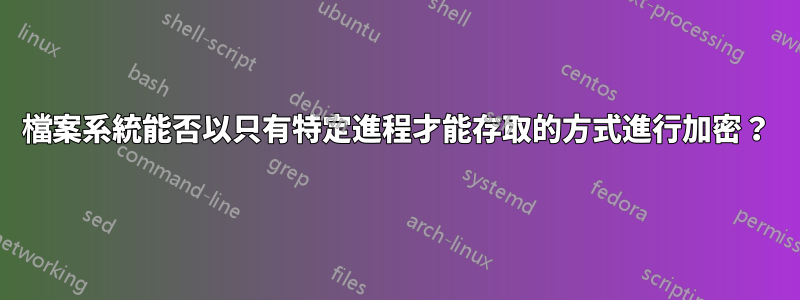 檔案系統能否以只有特定進程才能存取的方式進行加密？