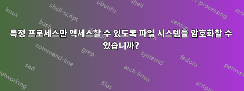 특정 프로세스만 액세스할 수 있도록 파일 시스템을 암호화할 수 있습니까?