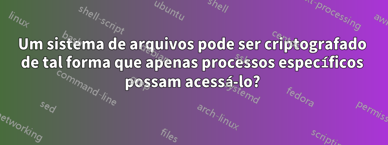 Um sistema de arquivos pode ser criptografado de tal forma que apenas processos específicos possam acessá-lo?