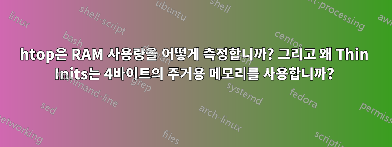 htop은 RAM 사용량을 어떻게 측정합니까? 그리고 왜 Thin Inits는 4바이트의 주거용 메모리를 사용합니까?