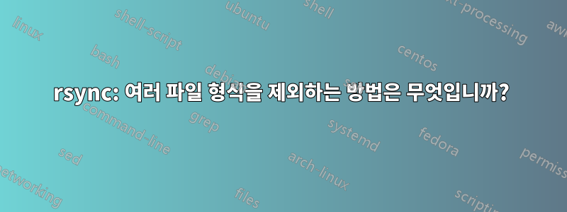 rsync: 여러 파일 형식을 제외하는 방법은 무엇입니까?