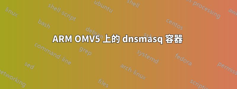 ARM OMV5 上的 dnsmasq 容器