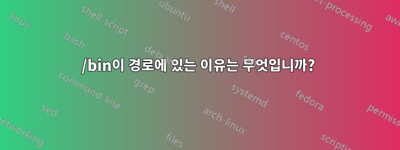 /bin이 경로에 있는 이유는 무엇입니까?