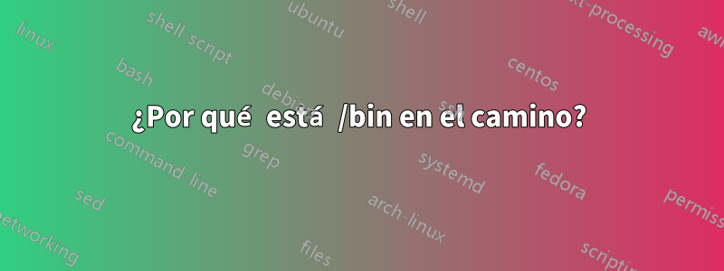 ¿Por qué está /bin en el camino?