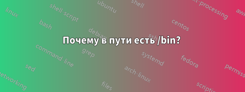 Почему в пути есть /bin?