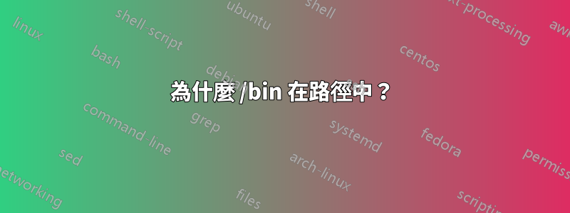 為什麼 /bin 在路徑中？