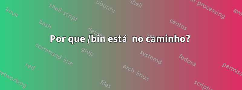 Por que /bin está no caminho?