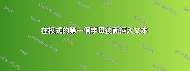 在模式的第一個字母後面插入文本