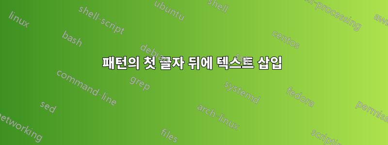 패턴의 첫 글자 뒤에 텍스트 삽입