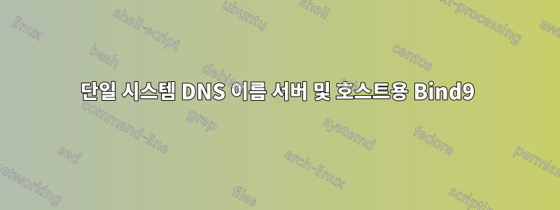 단일 시스템 DNS 이름 서버 및 호스트용 Bind9