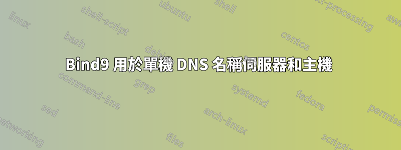 Bind9 用於單機 DNS 名稱伺服器和主機