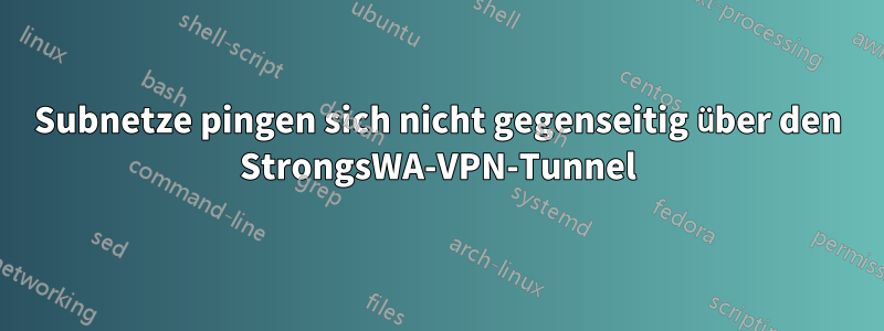 Subnetze pingen sich nicht gegenseitig über den StrongsWA-VPN-Tunnel