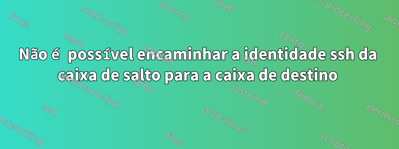 Não é possível encaminhar a identidade ssh da caixa de salto para a caixa de destino