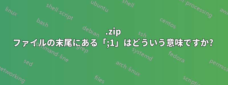 .zip ファイルの末尾にある「;1」はどういう意味ですか?