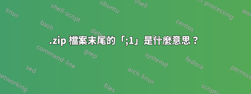 .zip 檔案末尾的「;1」是什麼意思？