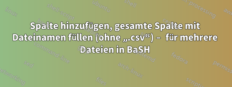 Spalte hinzufügen, gesamte Spalte mit Dateinamen füllen (ohne „.csv“) – für mehrere Dateien in BaSH