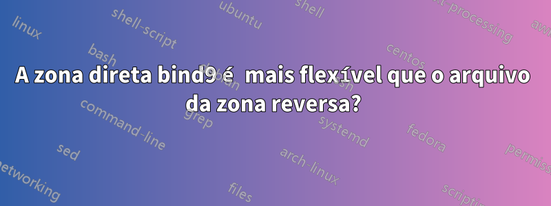 A zona direta bind9 é mais flexível que o arquivo da zona reversa?