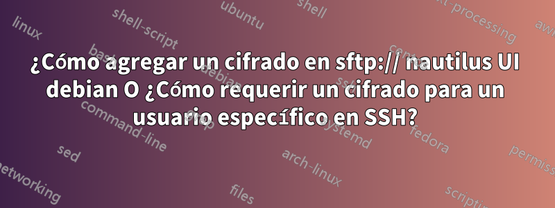 ¿Cómo agregar un cifrado en sftp:// nautilus UI debian O ¿Cómo requerir un cifrado para un usuario específico en SSH?