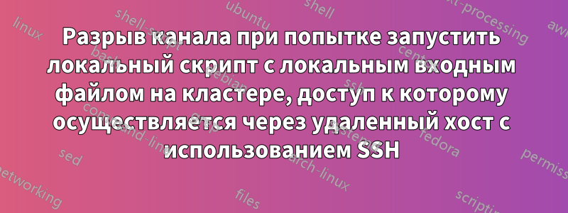 Разрыв канала при попытке запустить локальный скрипт с локальным входным файлом на кластере, доступ к которому осуществляется через удаленный хост с использованием SSH