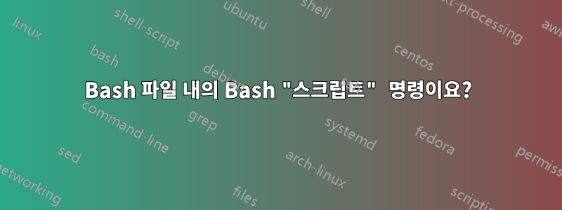 Bash 파일 내의 Bash "스크립트" 명령이요?