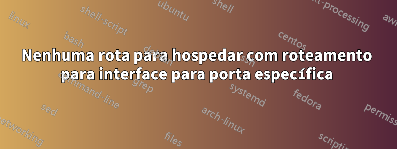 Nenhuma rota para hospedar com roteamento para interface para porta específica