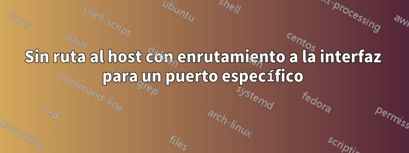 Sin ruta al host con enrutamiento a la interfaz para un puerto específico