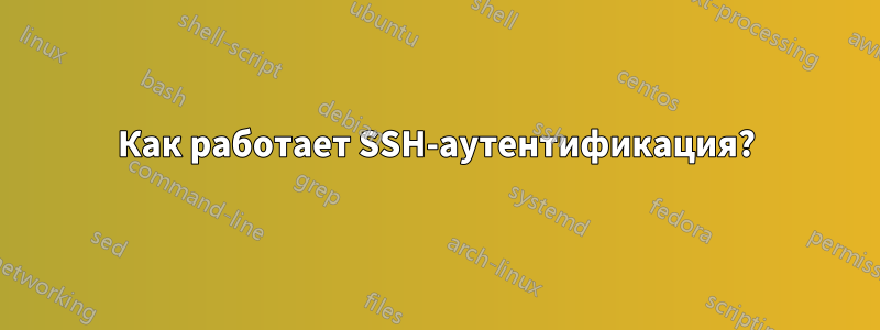 Как работает SSH-аутентификация?