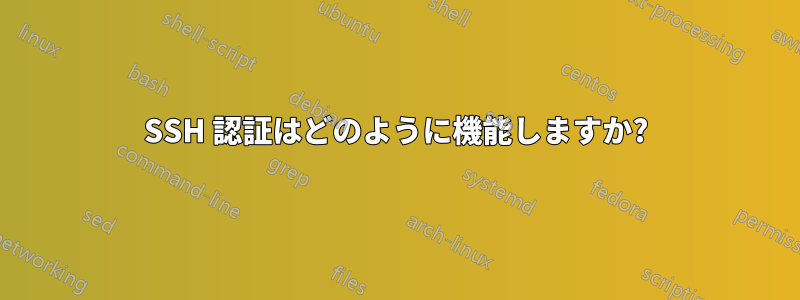 SSH 認証はどのように機能しますか?