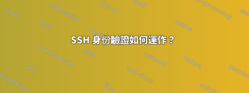 SSH 身份驗證如何運作？