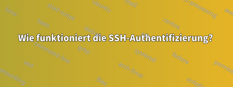 Wie funktioniert die SSH-Authentifizierung?