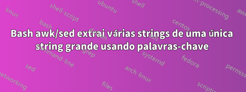 Bash awk/sed extrai várias strings de uma única string grande usando palavras-chave