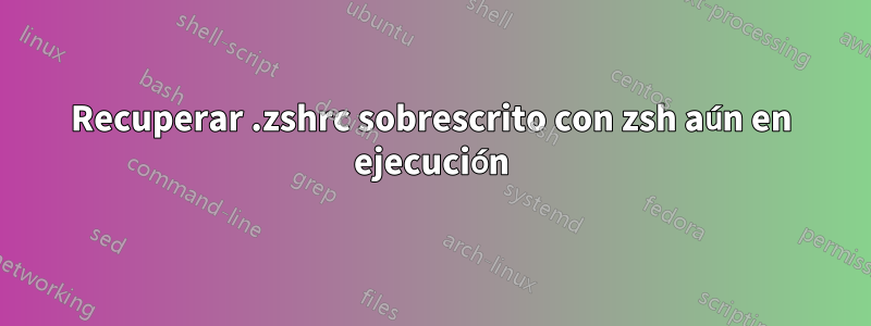 Recuperar .zshrc sobrescrito con zsh aún en ejecución