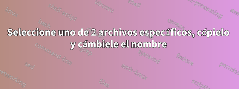 Seleccione uno de 2 archivos específicos, cópielo y cámbiele el nombre