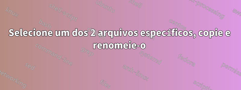 Selecione um dos 2 arquivos específicos, copie e renomeie-o