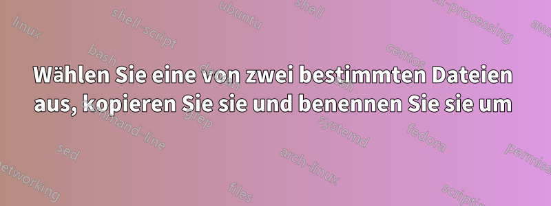 Wählen Sie eine von zwei bestimmten Dateien aus, kopieren Sie sie und benennen Sie sie um