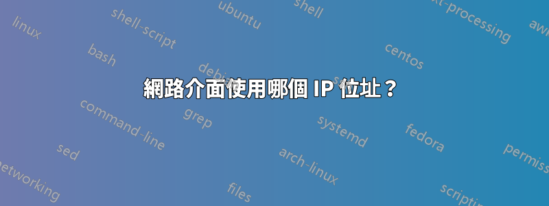 網路介面使用哪個 IP 位址？