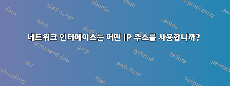 네트워크 인터페이스는 어떤 IP 주소를 사용합니까?