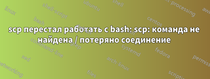 scp перестал работать с bash: scp: команда не найдена / потеряно соединение