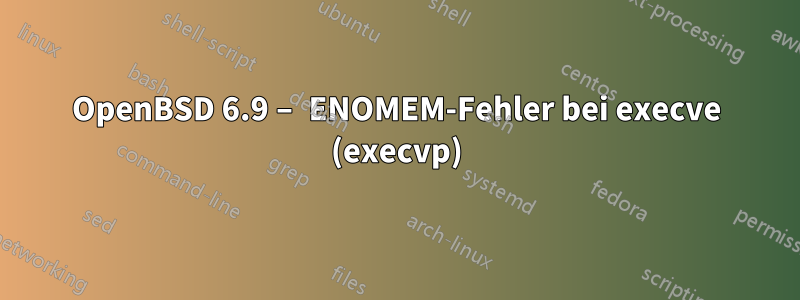 OpenBSD 6.9 – ENOMEM-Fehler bei execve (execvp)