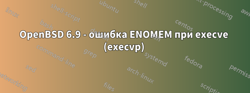 OpenBSD 6.9 - ошибка ENOMEM при execve (execvp)