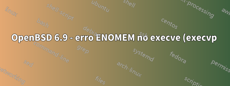 OpenBSD 6.9 - erro ENOMEM no execve (execvp)