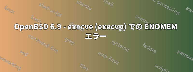 OpenBSD 6.9 - execve (execvp) での ENOMEM エラー