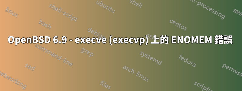 OpenBSD 6.9 - execve (execvp) 上的 ENOMEM 錯誤